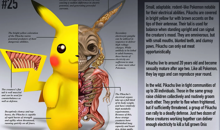 PokéNatomy : un livre insolite qui présente l'anatomie détaillée de 151  Pokémon