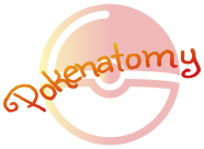 Pokenatomy
